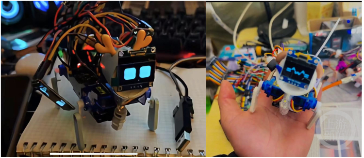小伙自學編程造出“賽博小狗” 網友紛紛“求定制”